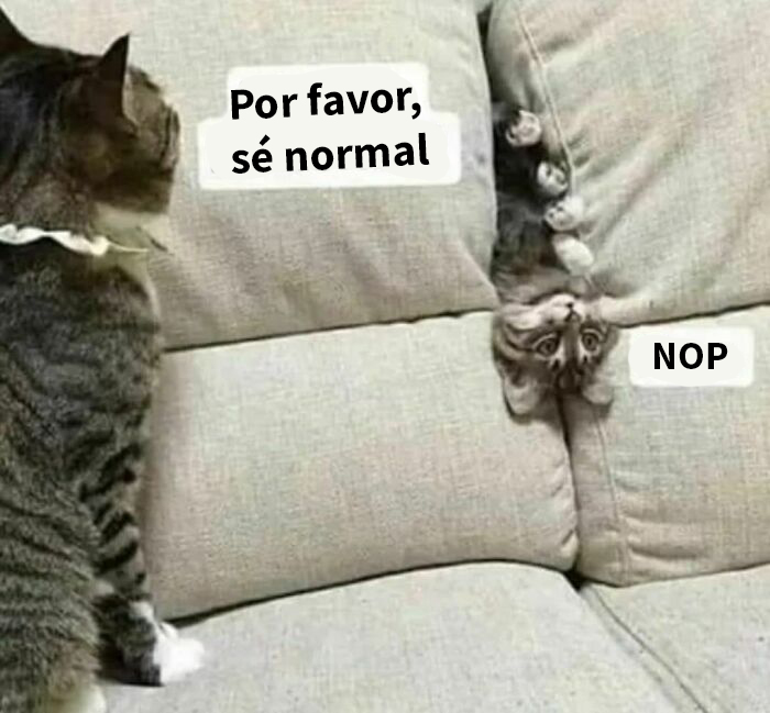 ¿Qué es normal?