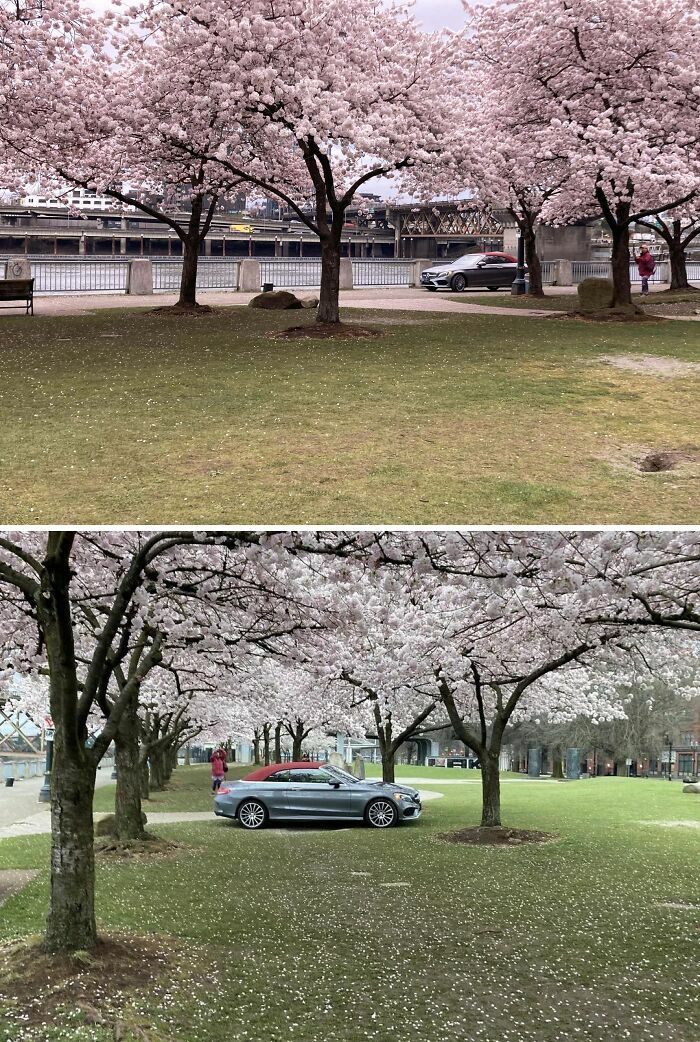 Imagina Creer Que Puedes Meter El Coche Ahí Solo Para Hacerle Unas Fotos