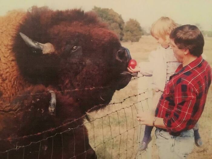 Cuando Era Pequeño, Mi Papá Me Llevaba A Alimentar A Los Búfalos En Las Afueras De La Ciudad. A Este Tipo Lo Llamábamos Big Daddy