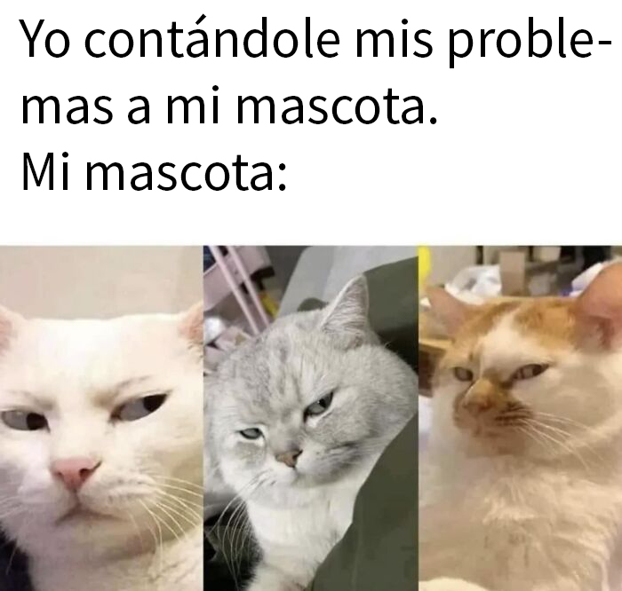 Tú eres el problema