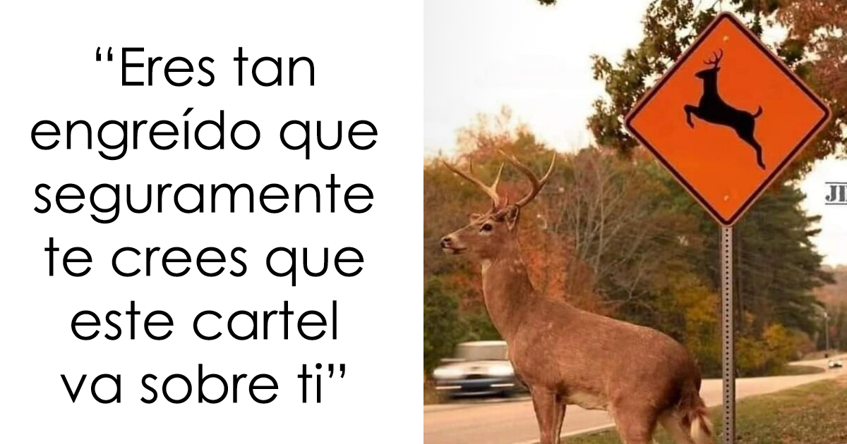 20 Memes que resultarán familiares para quienes disfrutan de las actividades al aire libre