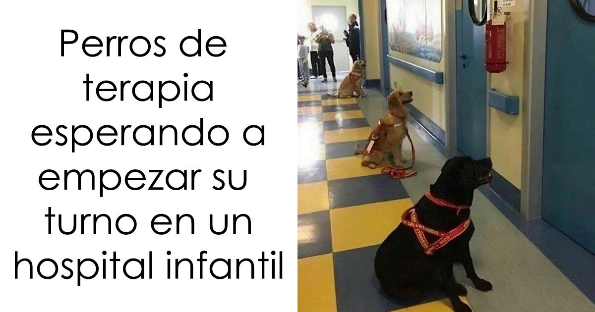 20 Memes reconfortantes para devolverte la fe en la humanidad