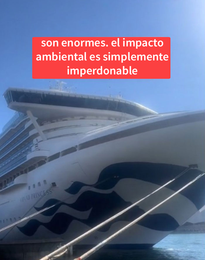 Esta mujer cuenta por qué nadie debería irse de crucero