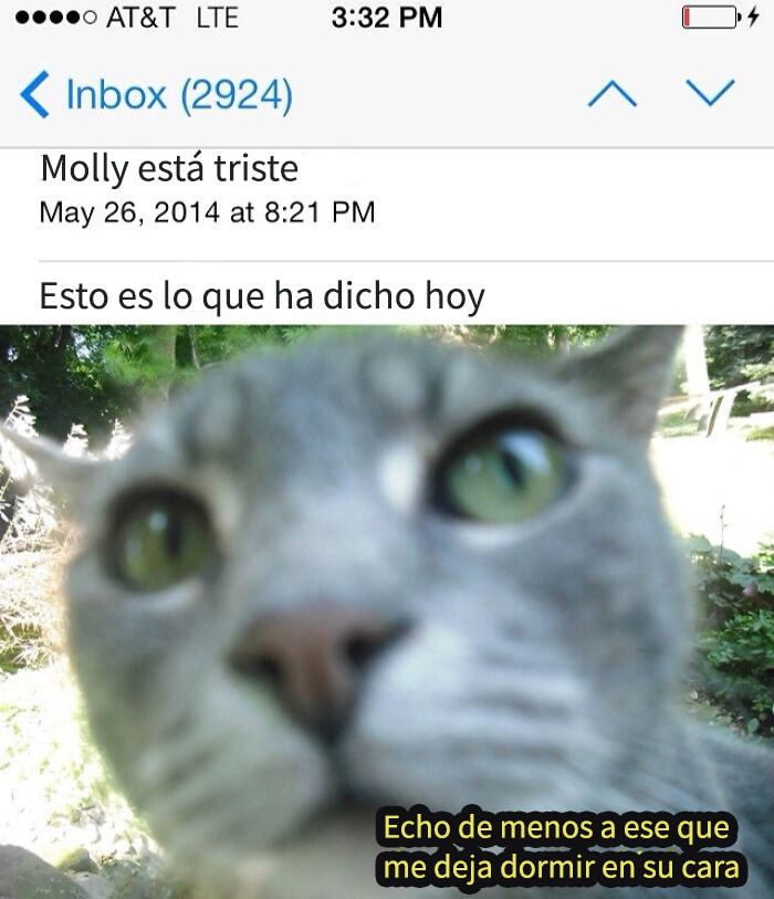 Estoy en un viaje de un mes y este es el primer email que me envía mi madre