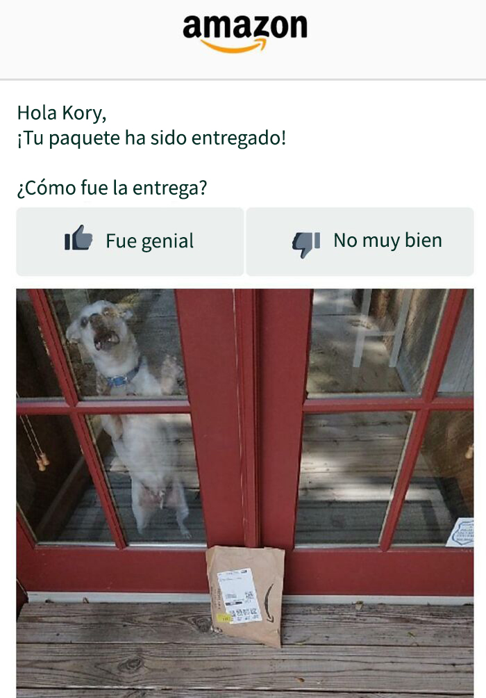 Mi padre ha recibido un email de Amazon