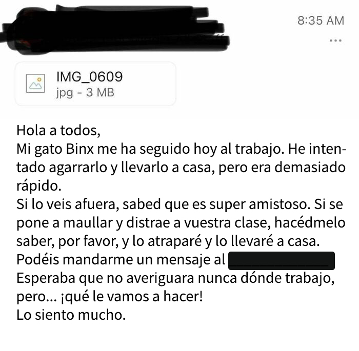 El mejor email en el trabajo