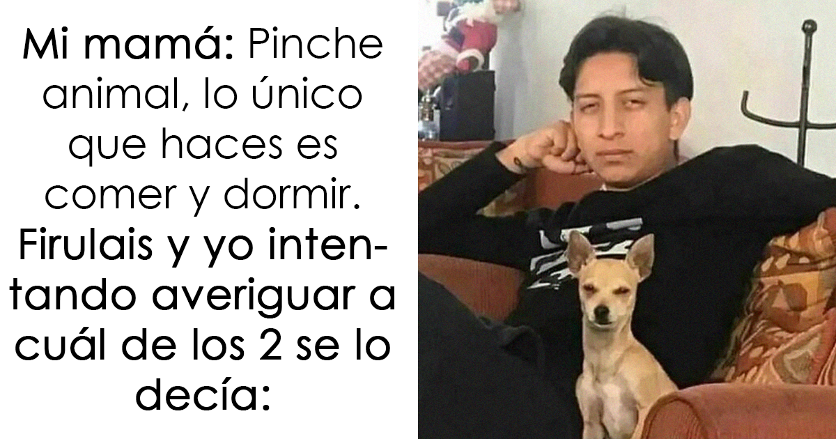 20 Divertidos memes mexicanos para echarse unas buenas risas