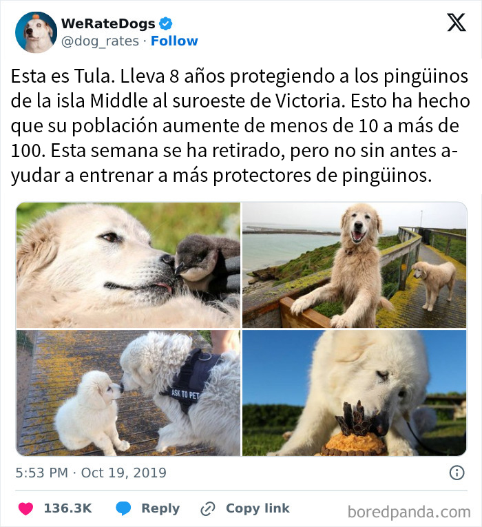 Gracias, Tula