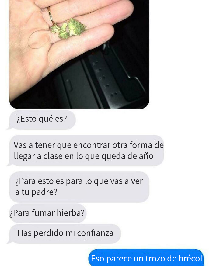 Mi madre creyó encontrar hierba en el coche de mi hermana