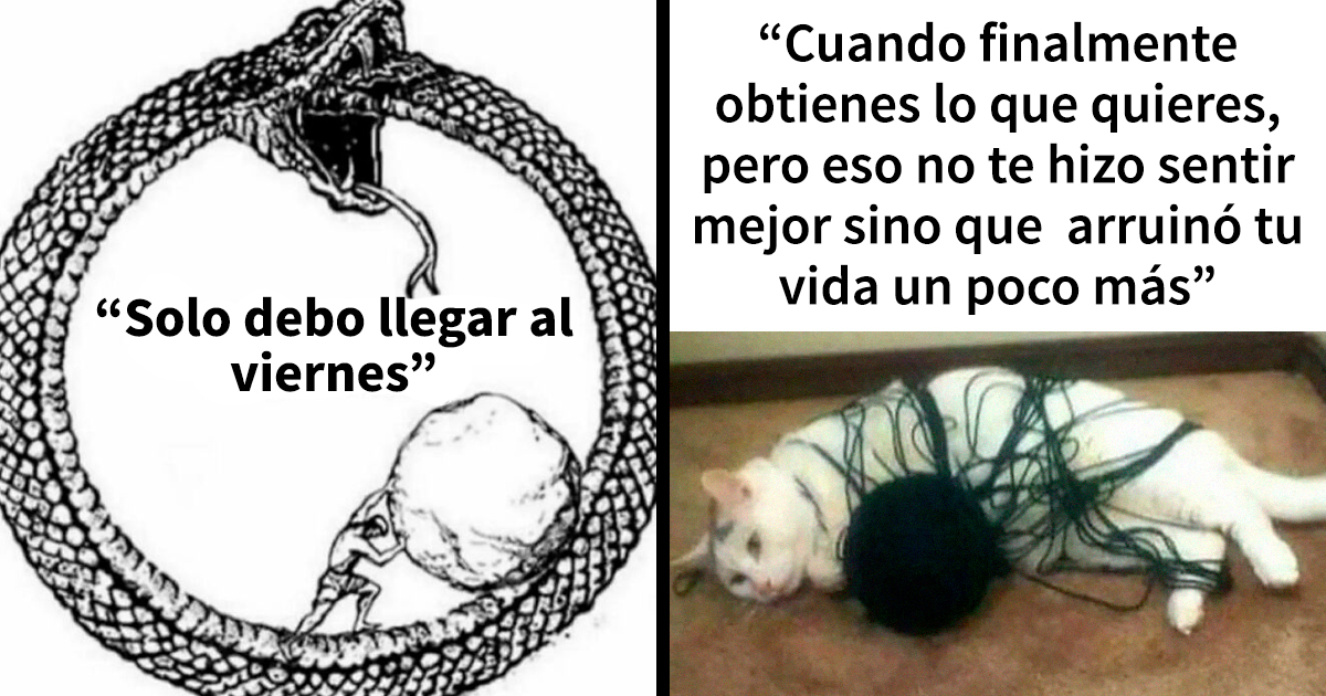 Estos 20 divertidos memes fueron creados especialmente para los intelectuales