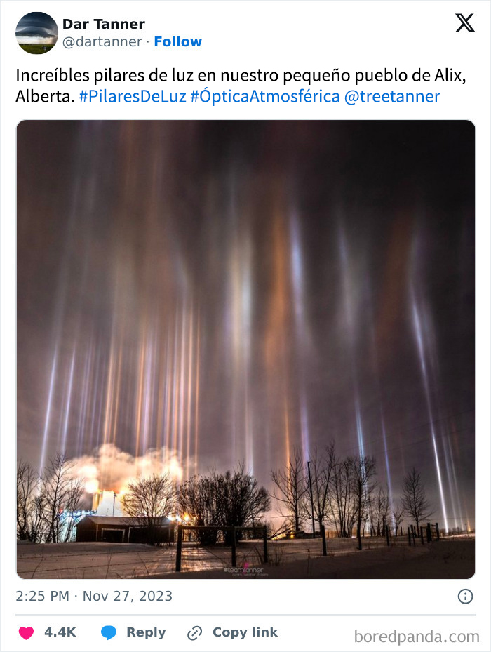 Cuando los cristales del hielo convierten las luces de la calle en luces hacia el cielo