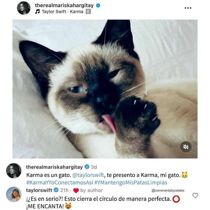 50 Funny, Wholesome And Savage Things Celebrities Commented On Other People’s Posts (New Pics)