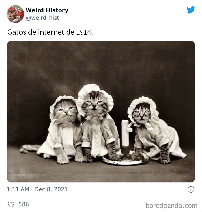 50 ‘Weird History’ Pics That May Rewrite The Narrative Of How You Think The Past Went (Best Of All Time)