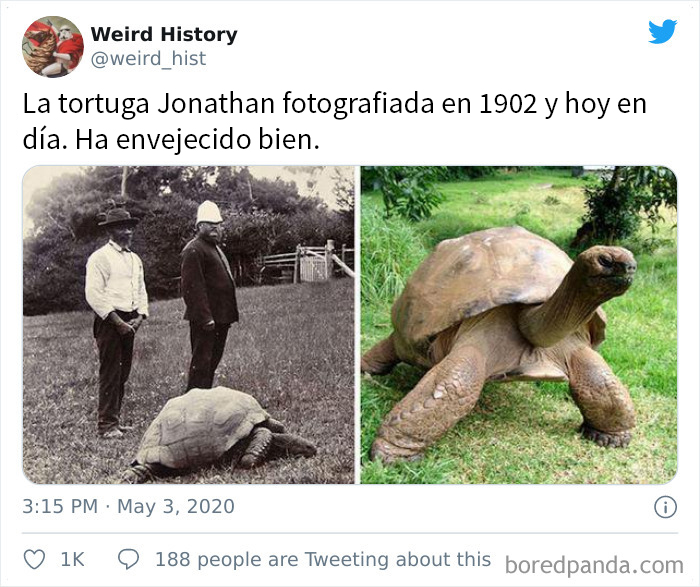 50 ‘Weird History’ Pics That May Rewrite The Narrative Of How You Think The Past Went (Best Of All Time)