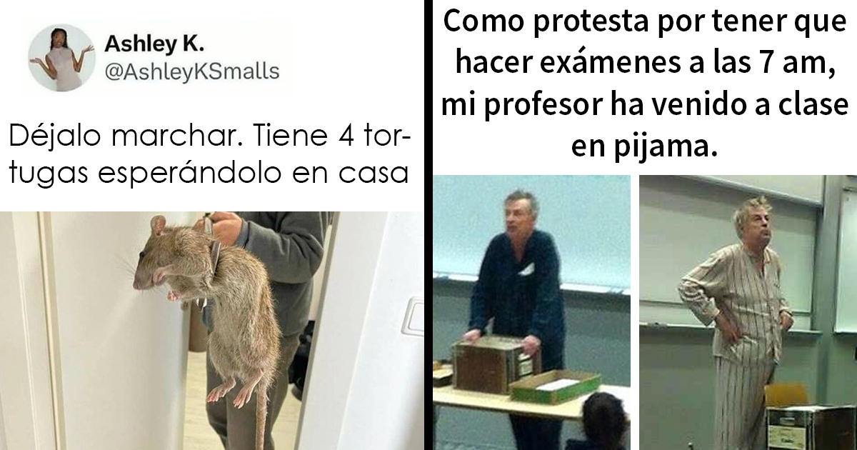 20 De los mejores y más divertidos memes de esta cuenta de Instagram con 1’7 millones de seguidores