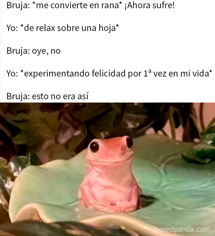 ¿Cómo se cabrea a una bruja?