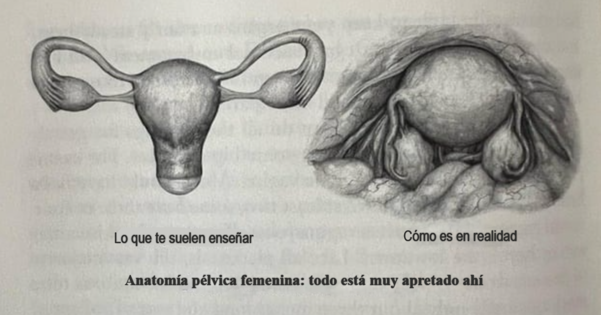 26 Datos curiosos sobre el cuerpo femenino que había que compartir