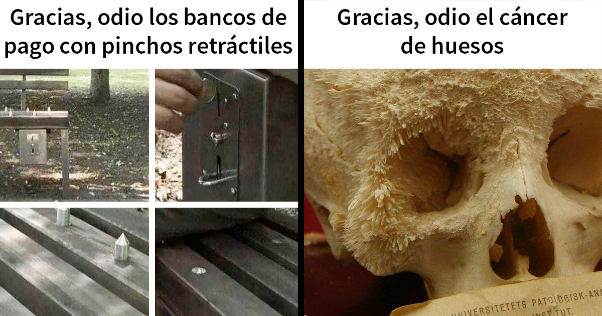 “Gracias, lo odio”: 20 Cosas perturbadoras que nadie quiere ver, compartidas en este grupo online