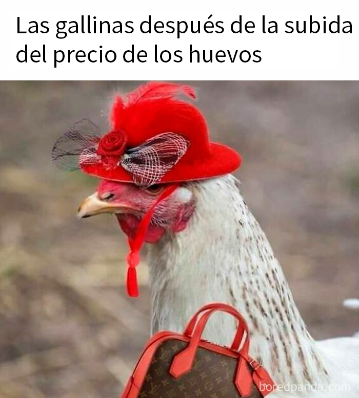 Gallina con sombrero rojo y bolso elegante, representando publicaciones divertidas para compartir.