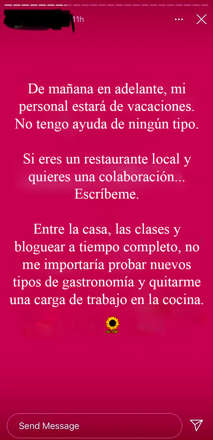 Influencer busca colaboración con restaurante local en Instagram Story sobre vacaciones sin ayuda.