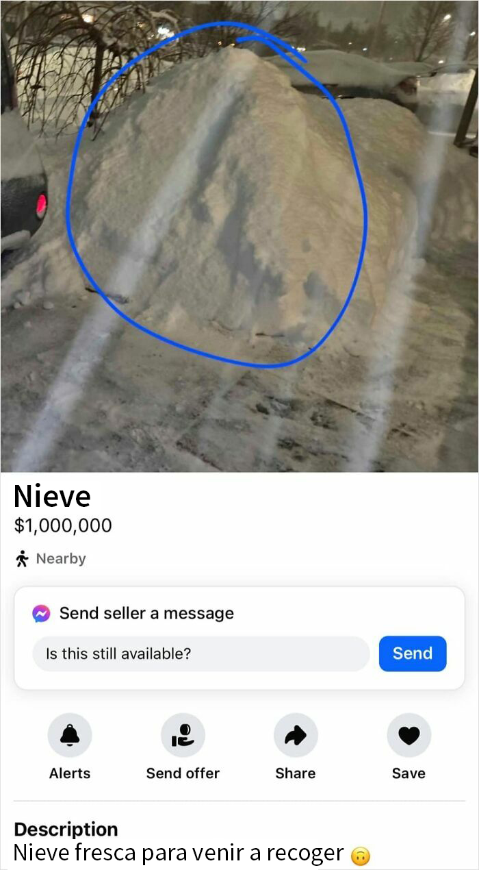 Nieve a la venta por un vendedor delirante en Facebook Marketplace, valorada en 1 millón de dólares.