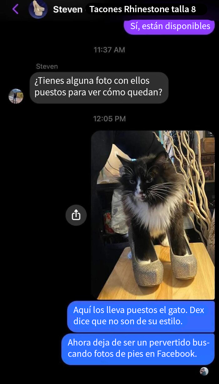 Chat de Facebook Marketplace con un gato usando tacones brillantes.