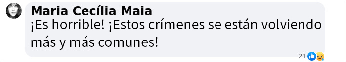 Comentario sobre estudiantes desaparecidos, expresando preocupaciones por el aumento de estos crímenes.