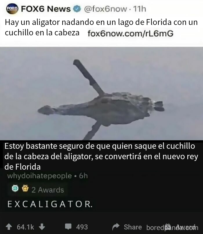 "Publicaciones divertidas: cocodrilo en lago de Florida con cuchillo en la cabeza, comentario ingenioso sobre suceso inusual."